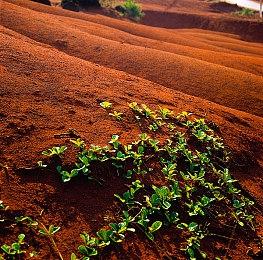 《战锤40K：星际战士2》成欧洲首发销量第二好的游戏