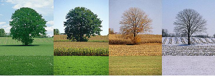 《勇者斗恶龙3：HD-2D重制版》全球销量突破200万份